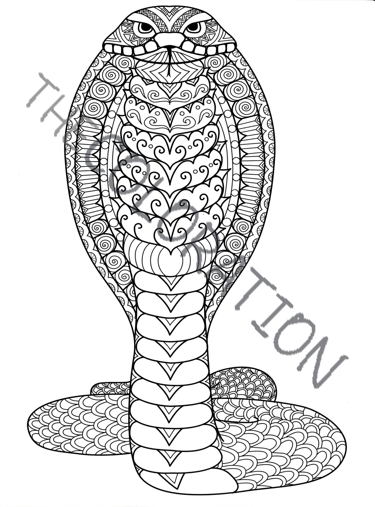 COLORATION Exotic Animals Volume I, Coloring Book for Adults