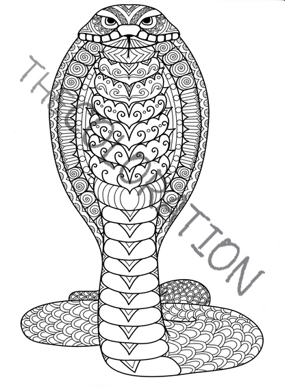 COLORATION Exotic Animals Volume I, Coloring Book for Adults
