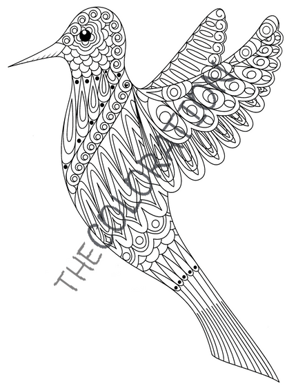 COLORATION Exotic Animals Volume I, Coloring Book for Adults